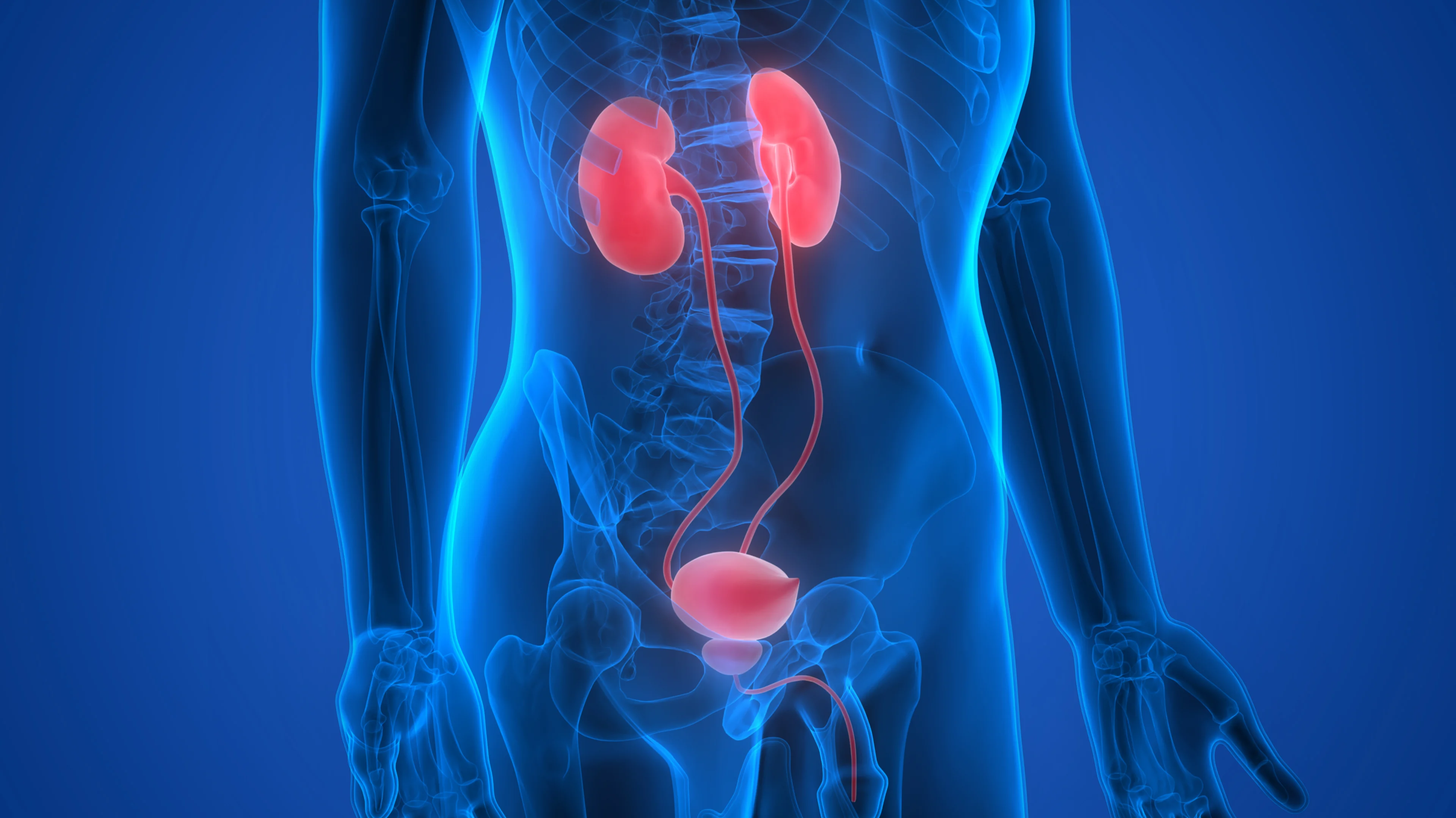 urology cancer