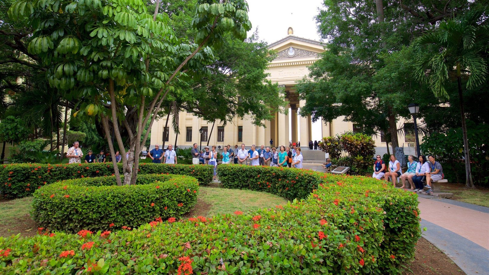 University of havana
