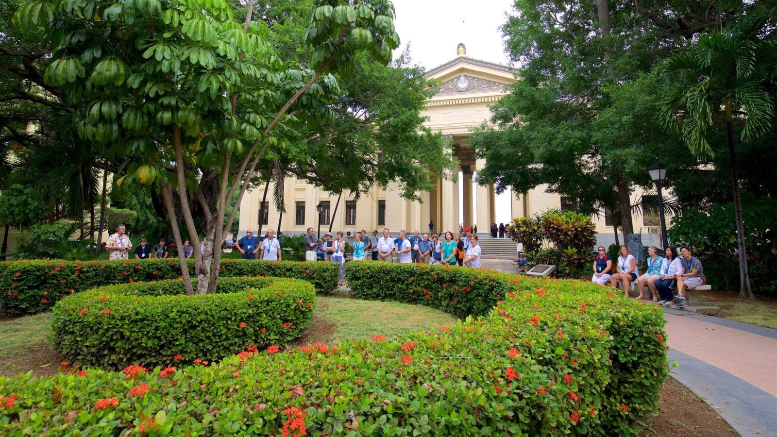 University of Medical Sciences of Havana